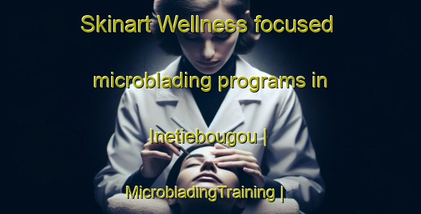 Skinart Wellness-focused microblading programs in Inetiebougou | MicrobladingTraining | MicrobladingClasses | SkinartTraining-Mali